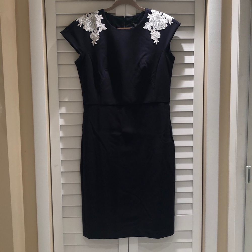 NWT Ann Taylor Dress
